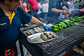 Traditionelle gegrillte Sardinen während des Johannisfestes in Porto (Festa de Sao Joao do Porto ) in der Nacht zum 23. Juni (Johannisnacht) in der Stadt Porto, Portugal