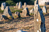 Close up view of the ancient megalithic standing stones in Carnac, Brittany, France, showcasing historical and cultural significance.