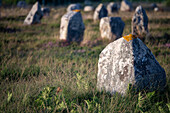 Close up view of the ancient megalithic standing stones in Carnac, Brittany, France, showcasing historical and cultural significance.