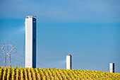 Turm eines Solarkraftwerks und Stromleitungen hinter einem leuchtenden Sonnenblumenfeld in Sanlúcar la Mayor, Sevilla, Andalusien, Spanien.