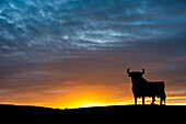 Atemberaubende Silhouette des berühmten Toro de Osborne vor einem farbenprächtigen Sonnenuntergang in Sevilla, Spanien.