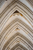 Detail der verschlungenen Bögen im Inneren der Kathedrale Saint Pierre et Saint Paul in Nantes, Frankreich, die eine beeindruckende gotische Architektur zeigt.