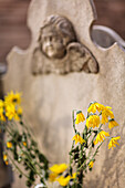 Yellow flowers placed on a child's tombstone in Cementerio de San Fernando, Sevilla, Andalucia, Spain, evoking feelings of sorrow and remembrance.