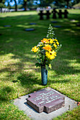 German military cemetery in Normandy, France, featuring a grave adorned with yellow flowers. Somber remembrance site under the trees.