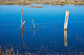 A serene view of the marshlands in Doñana, Spain, with standing water reflecting dead trees and a wooden fence, conveying tranquility.