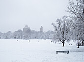 Mit Schnee bedeckte Bank und kahle Bäume im Brooklyn Prospect Park