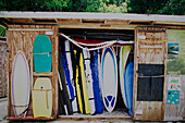 Surfboards and body boards in a shack