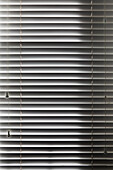 Close-up of window blinds