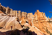 Frau betrachtet die Aussicht im Bryce Canyon National Park