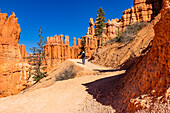 Rückansicht einer Frau beim Wandern im Bryce Canyon National Park an einem sonnigen Tag