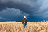 Rear view of woman standing in fall grasses under stormy sky