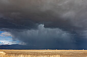 Dramatische Gewitterwolken über einem Feld