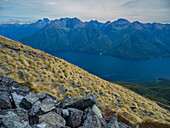 Von grünen Bergen umgebener Fjord im Fiordland-Nationalpark