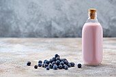 Homemade blueberry yogurt