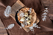 Quail eggs in paper nest with floating feathers