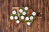 Sandwiches with garlic cream cheese, basil and radish