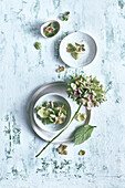 Arrangement aus Hortensienblüten (Hydrangea) und Keramikgeschirr in natürlichen Farben