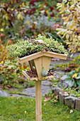 Vogelhaus mit Dachbegrünung im herbstlichen Garten