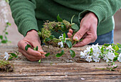 Kranz binden mit kleinem Immergrün (Vinca), auf Terrassentisch