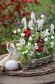 Kleine Sträuße mit Steinbrech, Goldlack 'Winter Flame', Schaumblüte, Lungenkraut, Märzenbecher in Vasen und Eierkarton und Hühnerei