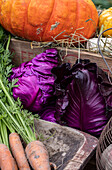 Autumn still life with pumpkin, red cabbage and carrots