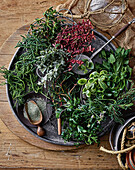 Various fresh seaweeds and herbs on a dark tray