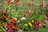 Blumenbeet im Kurgarten im Kurpark Oberlaa, Wien, Österreich