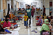 Dengue fever patients, Bangladesh