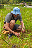 Volunteer planting flowers in garden