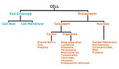 Cell components, illustration