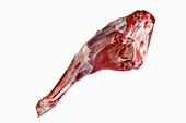 Raw leg of venison on a white background