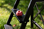 Roter Apfel auf schwarzer Leiter im Garten