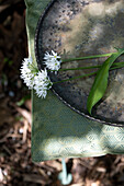 Bärlauch auf Teller und gemustertem Gartentisch
