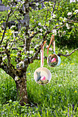 Osterdekoration mit bemalten Eiern in aufgehängten Sieben an blühendem Apfelbaum im Garten