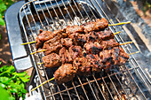 Beef skewers on the grill