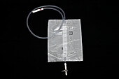 Catheter collection bag with valve