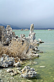 Tufa deposits in Mono Lake, California, USA