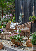  Boho style on the terrace Hydrangea, primrose, sweet alyssum, &#39;Pink Panther&#39; spurge, yarrow, silver rain, spurge &#39;Athene&#39; 