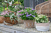  Boho style on the terrace, lily of the valley, &#39;Pink Panther&#39; hydrangea, &#39;Pink Panther&#39; hydrangea 