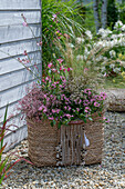 Boho Style, Korbtasche mit Prachtkerze (Gaura Lindheimeri), rosa Zauberschnee (Euphorbia), Fächerblume und Federgras (Stipa) auf Kiesboden