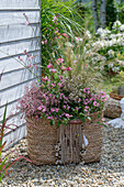 Boho Style, Korbtasche mit Prachtkerze (Gaura Lindheimeri), rosa Zauberschnee (Euphorbia), Fächerblume und Federgras (Stipa) auf Kiesboden