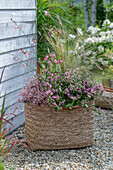 Boho Style, Korbtasche mit Prachtkerze (Gaura Lindheimeri), rosa Zauberschnee (Euphorbia), Fächerblume und Federgras (Stipa) auf Kiesboden