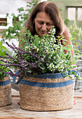 Frau hinter Korb mit Duftkräutern, Thai-Basilikum, Pfefferoregano, Zitronenverbene, Heilminze und Bergminze (Calamintha nepeta) in Basttasche
