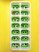 Daisies in ice cube mould