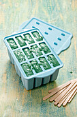 Spirulina ice cream in plastic mould