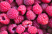 Fresh raspberries - close-up