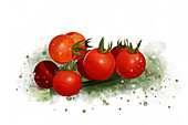 Illustration of cherry tomatoes