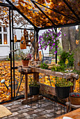 Glasgartenhaus mit rustikaler Arbeitsbank bedeckt von Herbstlaub