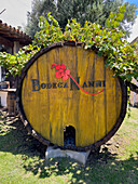 A wooden wine cask with grape vines as decoration in the patio of the Bodega Nanni Winery, Cafayete, Argentina.