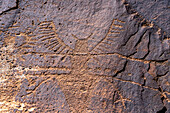 A pre-Hispanic Native American Fremont Culture rock art or petroglyph panel in Daddy's Canyon in Nine Mile Canyon, Utah. This figure is wearing what is known as a rake headdress.